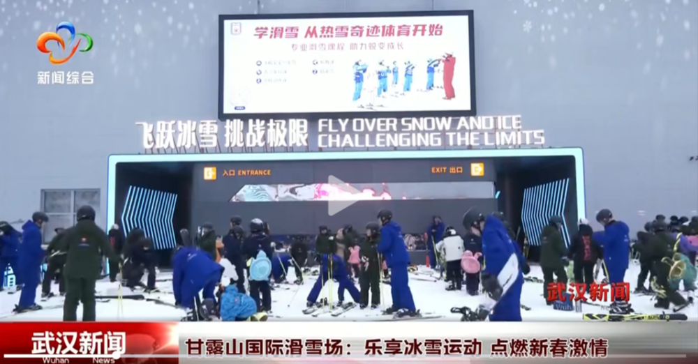 可能包括