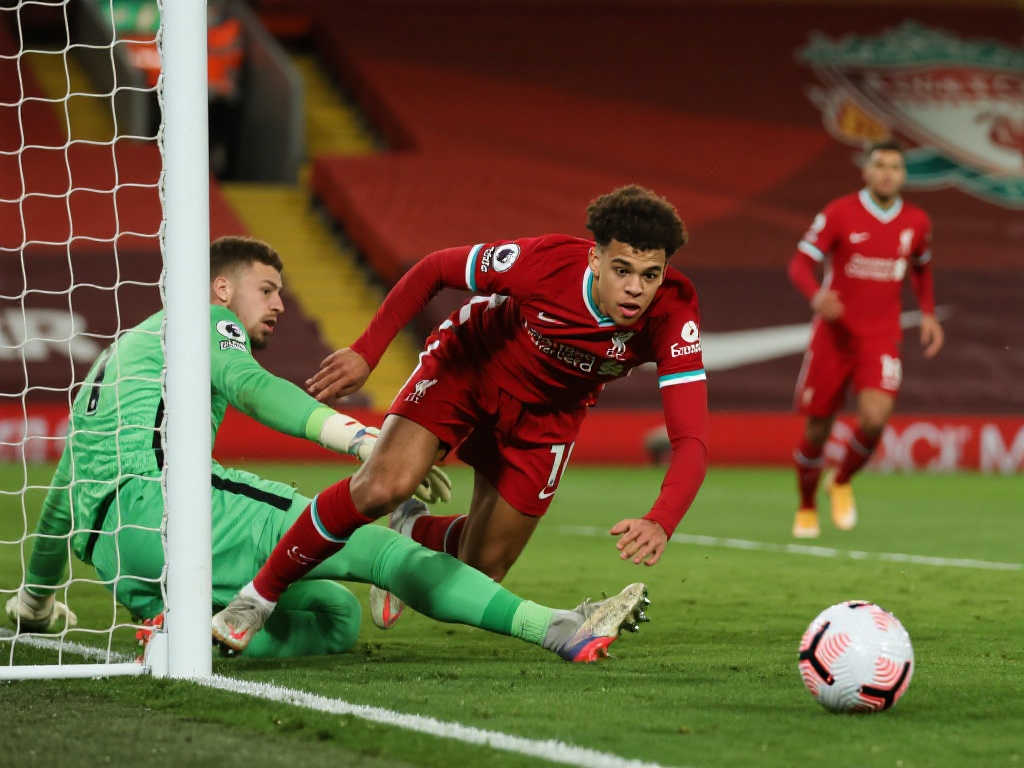 未来展望 未来展望