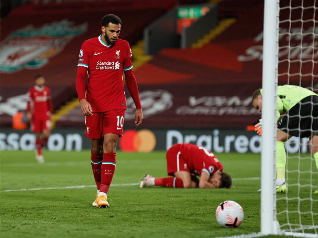 上的关注 上的关注